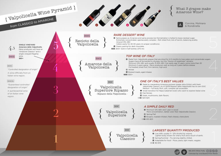 Amarone wijn Wine Folly